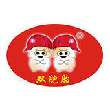 雙胞胎集團